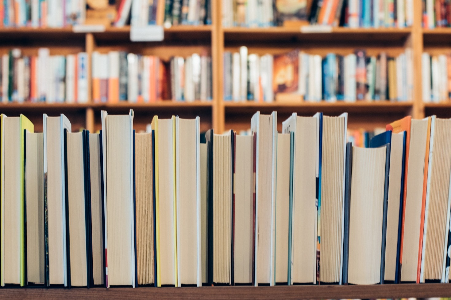 The Art of Discussing Your Favorite Novels